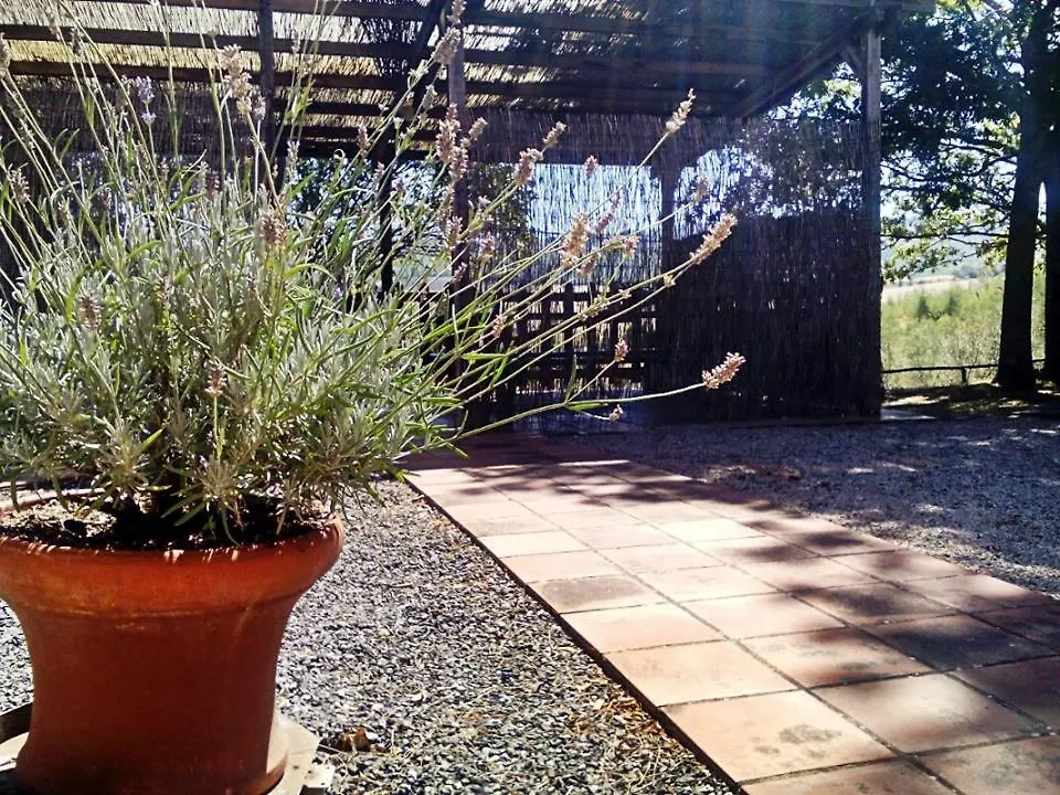 Agriturismo Podere Cherzo Cinigiano Casa vacanze