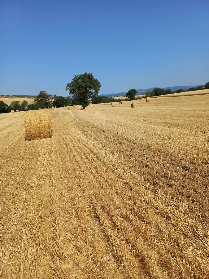 Casa vacanze Agriturismo Podere Cherzo Cinigiano