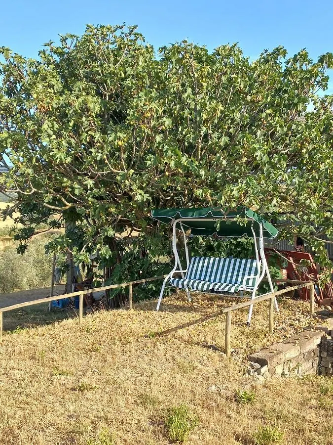 Agriturismo Podere Cherzo Cinigiano Casa vacanze
