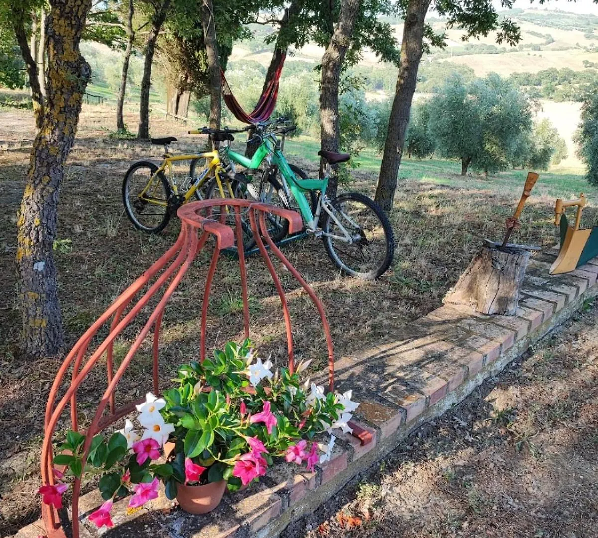 Agriturismo Podere Cherzo Cinigiano Casa vacanze