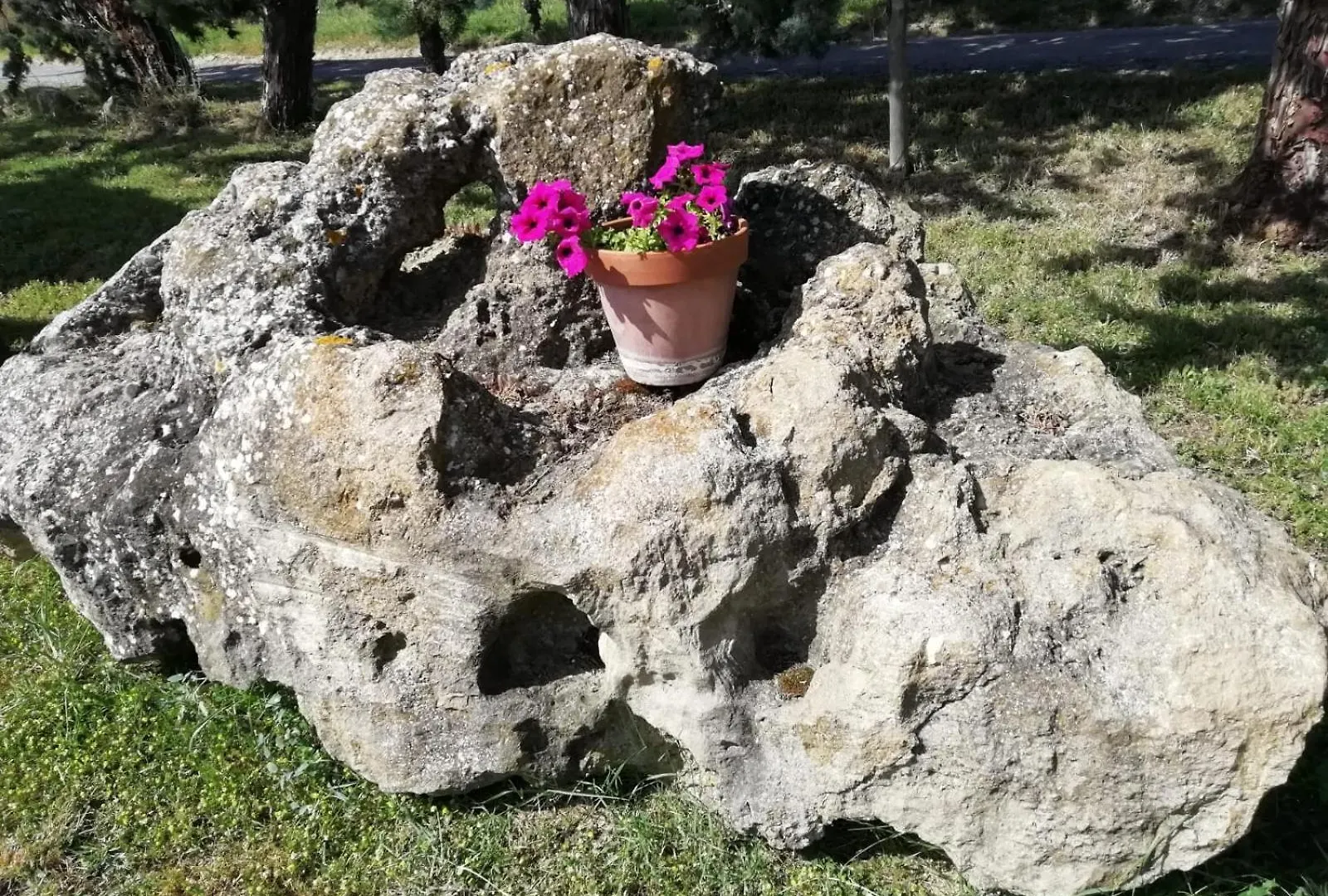 Agriturismo Podere Cherzo Cinigiano Casa vacanze