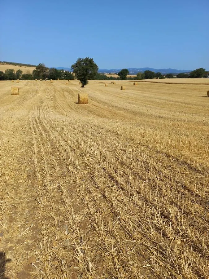 Agriturismo Podere Cherzo Cinigiano イタリア