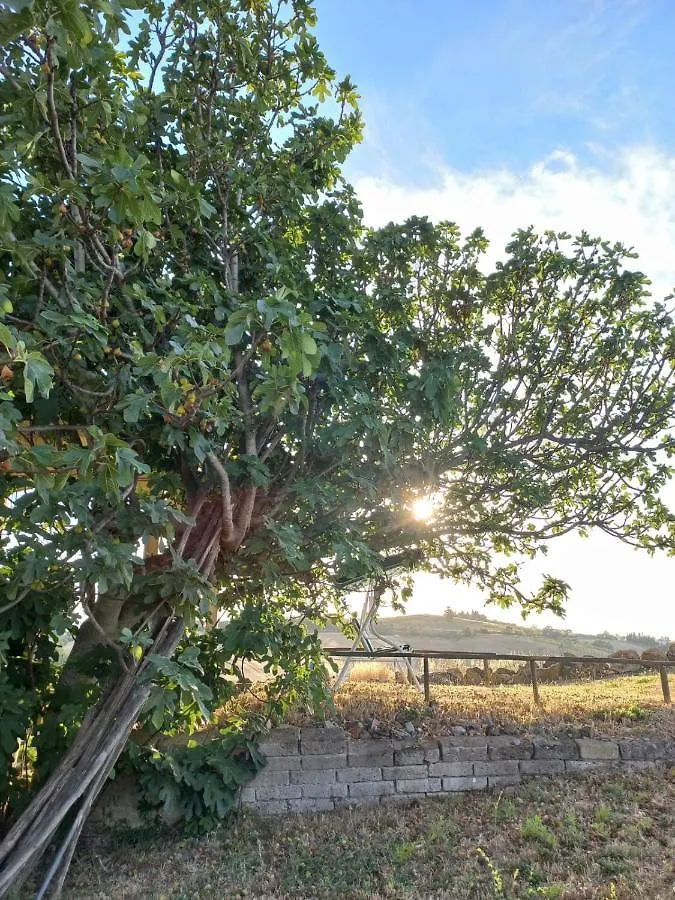Agriturismo Podere Cherzo Cinigiano 0*,  イタリア